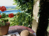High Angle View of a Potted Plant on a Table Photographic Print