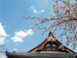 Japan Photographic Print