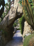 Monaco Exotic Garden, Monte Carlo, Monaco Photographic Print