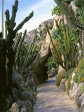 Monaco Exotic Garden, Monte Carlo, Monaco Photographic Print
