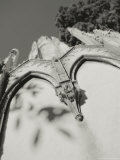 Rome, Italy Photographic Print by Sampson Williams