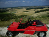 Beach Buggy Lámina fotográfica
