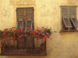France Photographic Print