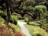 Huntington Library, Pasadena, California, USA Photographic Print Huntington Library, Pasadena, California, USA Photographic Print