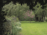 Brick Wall in Garden Photographic Print