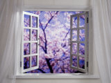 An Open Window with Blossoming Branches Photographic Print