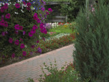 Plants at a Botanical Garden Photographie