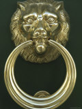 Lion's Head Doorknocker Photographic Print