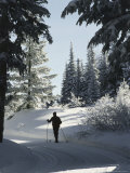Mount Spokane State Park, Washington, USA Photographic Print