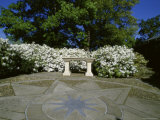 Dumbarton Oaks Garden, Washington, D.C., USA Photographic Print