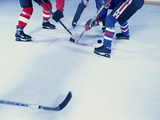 Group of People at An Ice Hockey Game Fotografie-Druck