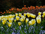 Sunken Garden, Butchart Gardens, Victoria, British Columbia, Canada Photographic Print