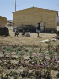 La Serana, Chile Photographic Print