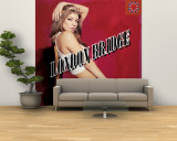 Fergie Wall Mural – Large