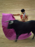 Bullfight Spain Photographic Print