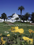 Conservatory of Flowers, Golden Gate Park, San Francisco, California, USA Photographic Print