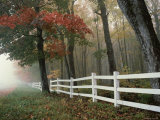 Crisp Autumn Morning Photographic Print
