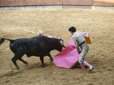 Bullfighting, Plaza de Toros, Ronda, Andalusia, Spain Photographic Print