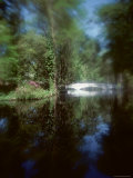 Bridge in a Garden Photographic Print