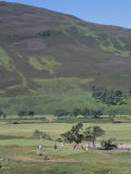 Braemar Golf Course, Braemar, Grampian, Scotland Photographie