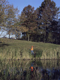 Man Sighting a Rifle Near a Lake Photographic Print