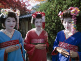 Apprentice Geisha (Maiko), Women Dressed in Traditional Costume, Kimono, Kyoto, Honshu, Japan Photographic Print