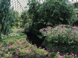 Longwood Gardens, Pennsylvania, USA Photographie