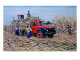 Loading Canes Giclee Print by Victor Collector