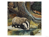 Badger, Fox, Owl and Mouse Lámina giclée Badger, Fox, Owl and Mouse Lámina giclée