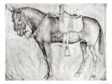 Mule Giclée-tryk af Antonio Pisani Pisanello Mule Giclée-tryk af Antonio Pisani Pisanello