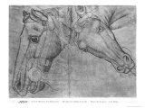 Heads of Horses Giclée-tryk af Antonio Pisani Pisanello Heads of Horses Giclée-tryk af Antonio Pisani Pisanello