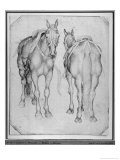 Two Horses Giclée-tryk af Antonio Pisani Pisanello Two Horses Giclée-tryk af Antonio Pisani Pisanello