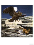 The Fennec Fox and Eagle Owl Giclee Print by Eric Tansley