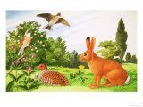 In the Corner of a Field Giclee Print by John Rignall