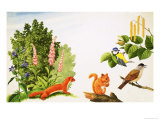 The Hazel Tree Giclee Print by John Rignall