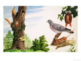 The Dead Tree Giclee Print by John Rignall