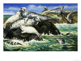 Our Sea Friend the Seal Giclee Print by John Rignall