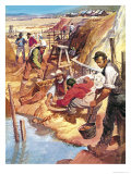 The Story of Australia: Gold Giclee Print by Barrie Linklater