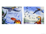 Fliptail the Otter Giclee Print by J. Bernard Long
