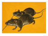 Two Blind Mice Giclee Print by Bob Hersey