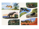 Pouched Animals of Australia Giclee Print by Leslie Field Marchant