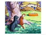 Fliptail the Otter Giclee Print by Bert Felstead