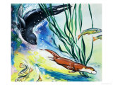 Fliptail the Otter Giclee Print by Bert Felstead