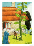 Jack and the Beanstalk Giclee Print by Nadir Quinto