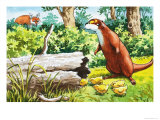 Fliptail the Otter Giclee Print by Bert Felstead