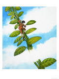 Jack and the Beanstalk Giclee Print by Nadir Quinto