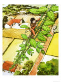 Jack et le haricot magique reproduction procédé giclée par Nadir Quinto