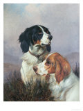 Setters on a Moor, 1892 Giclee Print by Colin Graeme