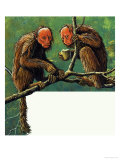 Strange Monkeys Giclee Print by Eric Tansley