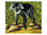 Strange Monkeys Giclee Print by Eric Tansley